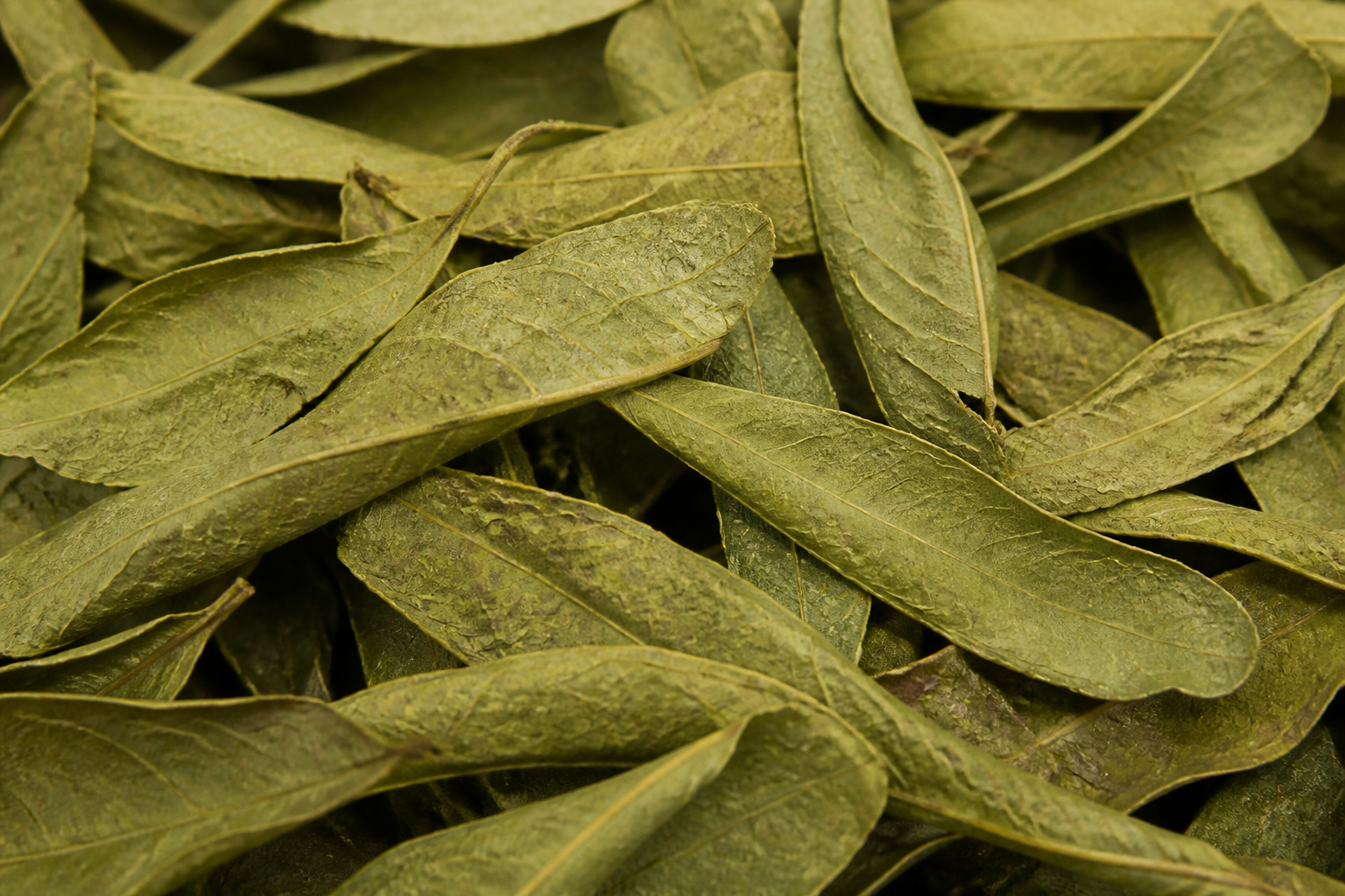 Senna Leaves